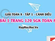 Giải bài 1 trang 120 Toán 8 Tập 1 SGK Cánh Diều